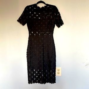 Gorgeous Lulus Lace Dress